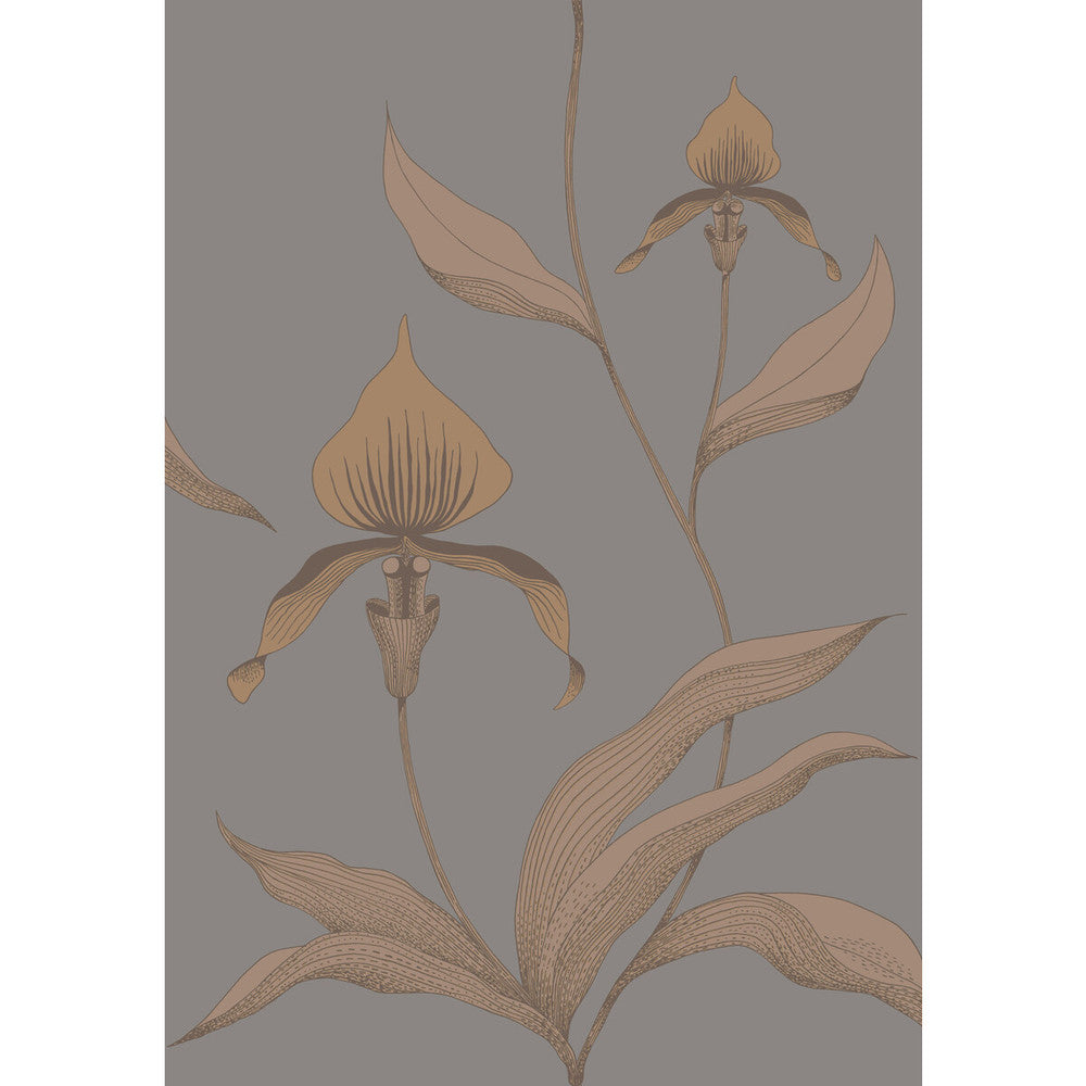Orchid Bronze/Slate by Cole & Son Wallcovering Cole & Son Wallcovering Orchid Bronze/SlateWallcovering CONTEMPORARY RESTYLED PAPER - 100% United Kingdom </p><p>Repeat: H: 21, V: 30 21 - Fabric Carolina -
