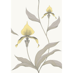 Orchid Yellow/White by Cole & Son Designer Wallcovering