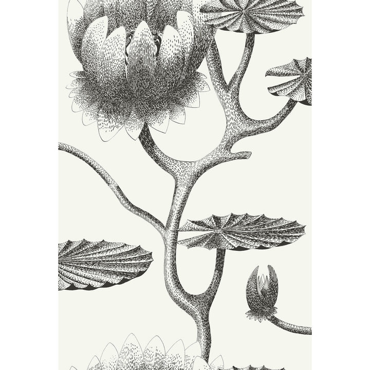 Lily Black/White by Cole & Son Designer Wallcovering CONTEMPORARY RESTYLED PAPER - 100% United Kingdom Horizontal: 20.5 and Vertical: 30 20.5 - Swanky Fabrics -