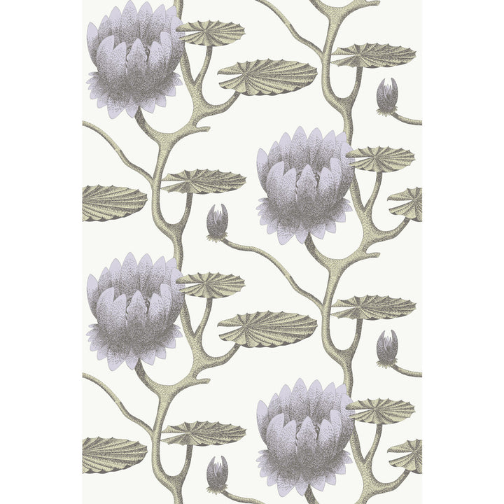 Summer Lily Lilac/Grn/Wt by Cole & Son Wallcovering Cole & Son Wallcovering Summer Lily Lilac/Grn/WtWallcovering CONTEMPORARY RESTYLED PAPER - 100% United Kingdom </p><p>Repeat: H: 27, V: 19.75 27 - Fabric Carolina -