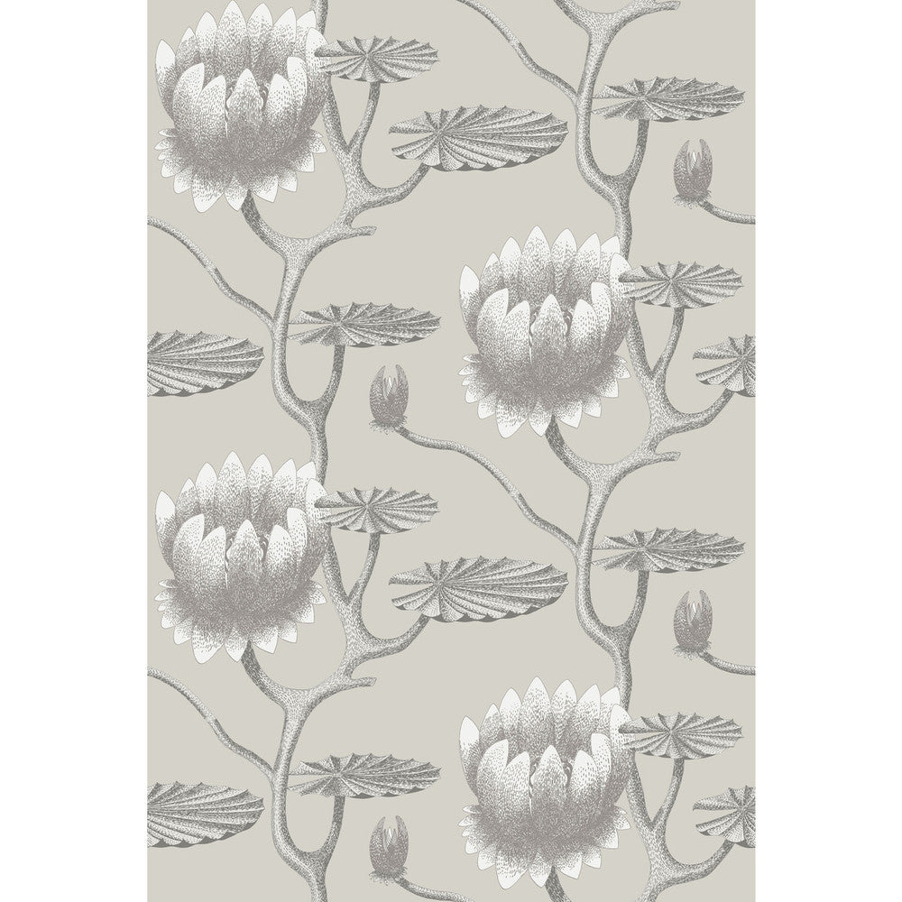 Summer Lily Taupe/White by Cole & Son Designer Wallcovering CONTEMPORARY RESTYLED PAPER - 100% United Kingdom - Horizontal: 27 and Vertical: 19.75 27 - Swanky Fabrics -