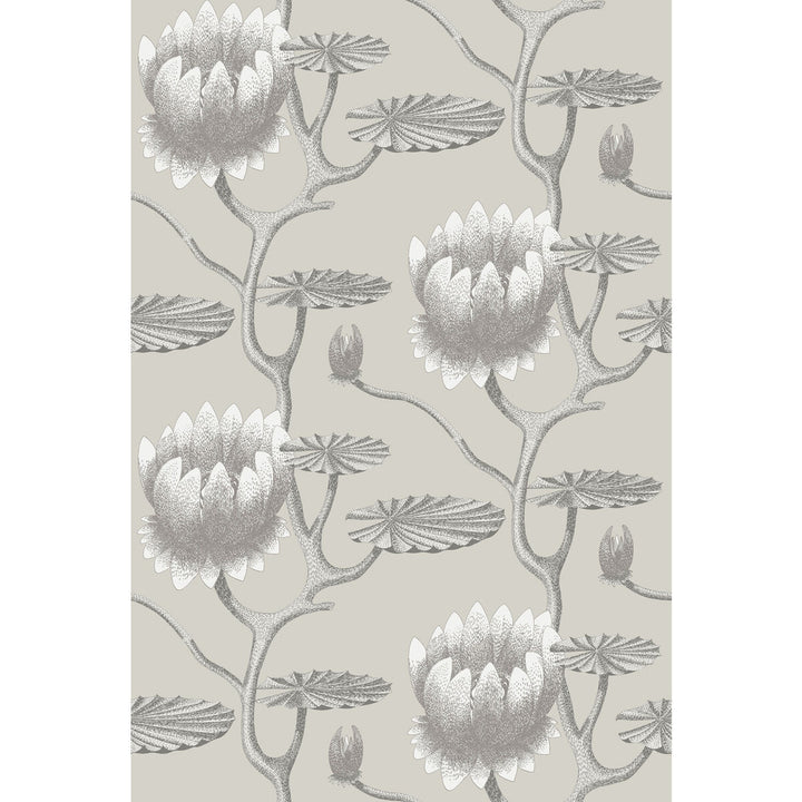 Summer Lily Taupe/White by Cole & Son Designer Wallcovering CONTEMPORARY RESTYLED PAPER - 100% United Kingdom - Horizontal: 27 and Vertical: 19.75 27 - Swanky Fabrics -