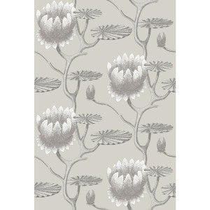 Summer Lily Taupe/White by Cole & Son Designer Wallcovering
