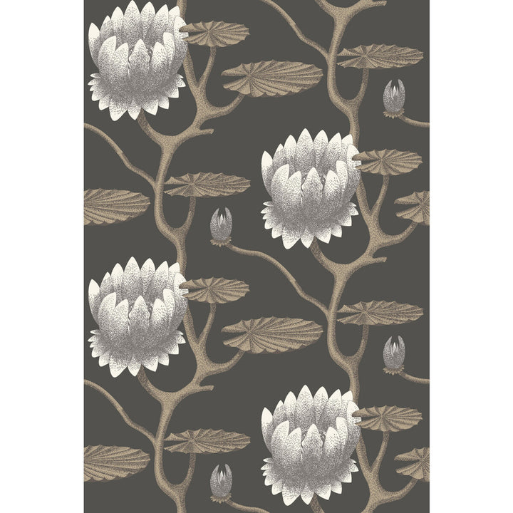Summer Lily Blk/Wht/Gold by Cole & Son Wallcovering Cole & Son Wallcovering Summer Lily Blk/Wht/GoldWallcovering CONTEMPORARY RESTYLED PAPER - 100% United Kingdom </p><p>Repeat: H: 27, V: 19.75 27 - Fabric Carolina -