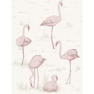 Flamingos Pink/White by Cole & Son Designer Wallcovering