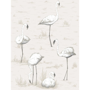 Flamingos Charcoal/Wht by Cole & Son Designer Wallcovering