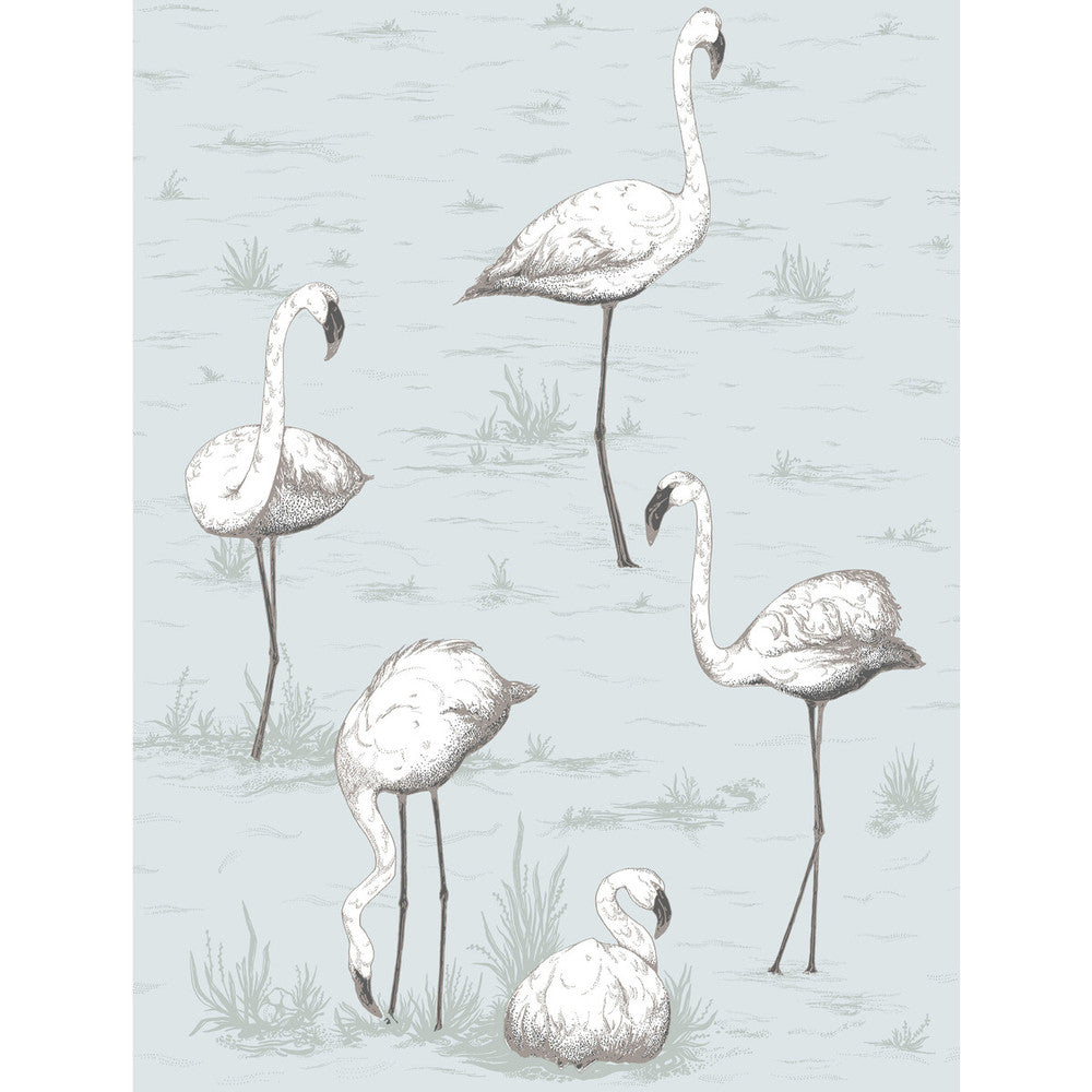 Flamingos Charcoal/Aqua by Cole & Son Wallcovering Cole & Son Wallcovering Flamingos Charcoal/AquaWallcovering CONTEMPORARY RESTYLED PAPER - 100% United Kingdom </p><p>Repeat: H: 21, V: 27.5 21 - Fabric Carolina -