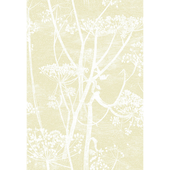 Cow Parsley Straw/White by Cole & Son Designer Wallcovering CONTEMPORARY RESTYLED PAPER - 100% United Kingdom - Horizontal: 21 and Vertical: 30 21 - Swanky Fabrics -