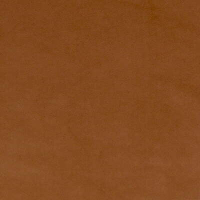 Ultimate Suede Aztec by Lee Jofa Fabric Lee Jofa Fabric Ultimate Suede AztecFabric RECYCLED POLYESTER - 80%;POLYURETHANE - 20% Japan </p><p>Repeat: H: 0, V: 0 54 - Fabric Carolina -