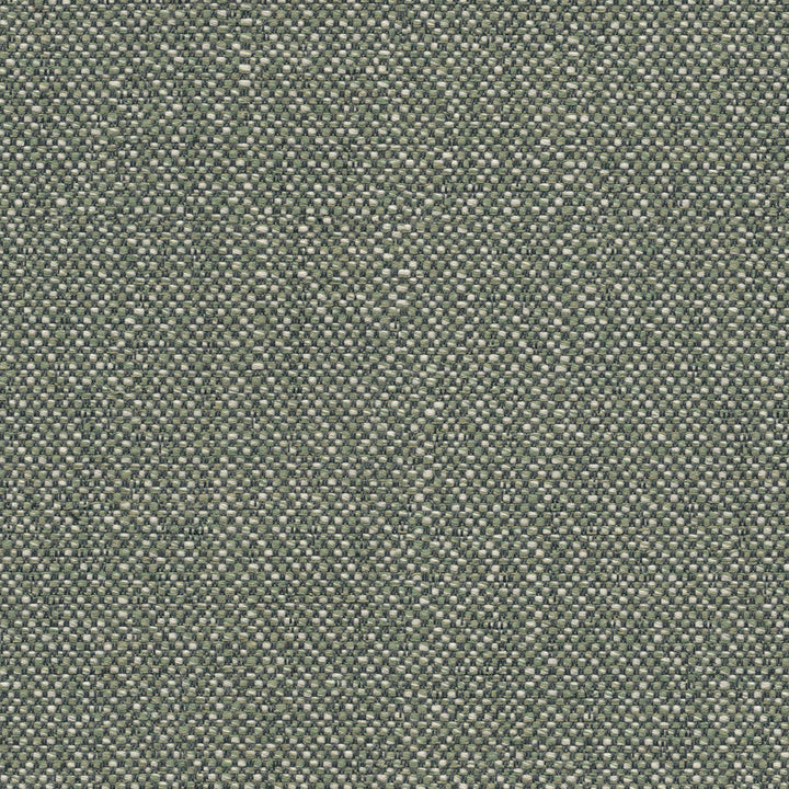 Savane Swamp SAVJ449 by Sunbrella European Designer Fabric Sunbrella® Acrylic, Sunbrella® Polyester Horizontal: and Vertical: 55 in. - Swanky Fabrics -