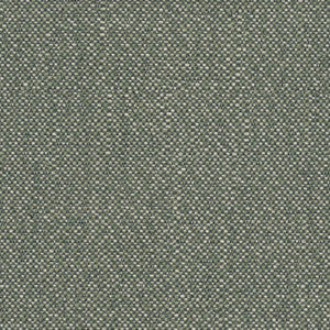 Savane Swamp SAVJ449 by Sunbrella European Designer Fabric