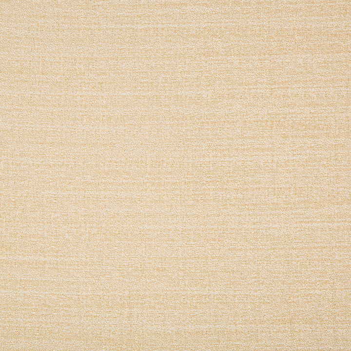 Kravet Basics 9789-116 by Kravet Basics Fabric Kravet Basics Fabric Kravet Basics 9789-116Fabric POLYESTER - 100% Turkey </p><p>Repeat: H: , V: 60 - Fabric Carolina -