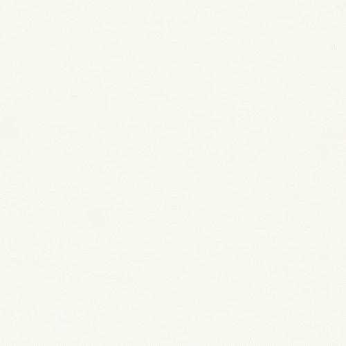 9799.101 by Kravet Basics Designer Fabric Gis Polyester 100% France see sample Horizontal: see sample and Vertical: see sample 118 inches - Swanky Fabrics -