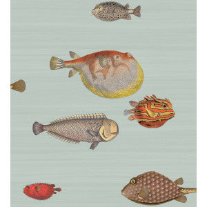 Acquario Pal Bl & Mlt by Cole & Son Designer Wallcovering
