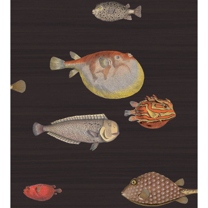 Acquario Black & Mult by Cole & Son Designer Wallcovering COLE & SON FORNASETTI PAPER - 100% United Kingdom Horizontal: and Vertical: 29.94 27 - Swanky Fabrics -