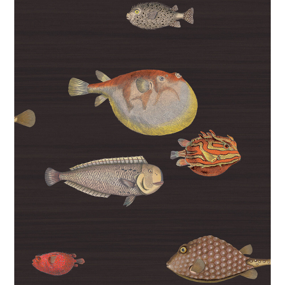 Acquario Black & Mult by Cole & Son Designer Wallcovering COLE & SON FORNASETTI PAPER - 100% United Kingdom Horizontal: and Vertical: 29.94 27 - Swanky Fabrics -