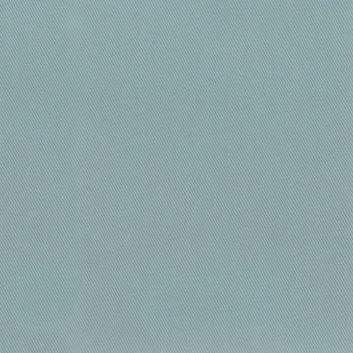 98448 Cloud by Greenhouse Designer Fabric 100% Cotton USA 100,000 </p><p>Repeat: None 56" - Swanky Fabrics -