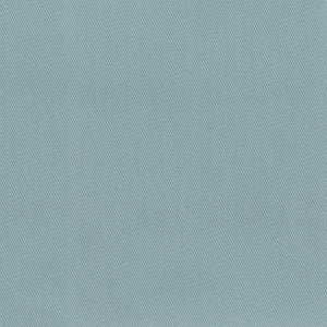 98448 Cloud by Greenhouse Designer Fabric