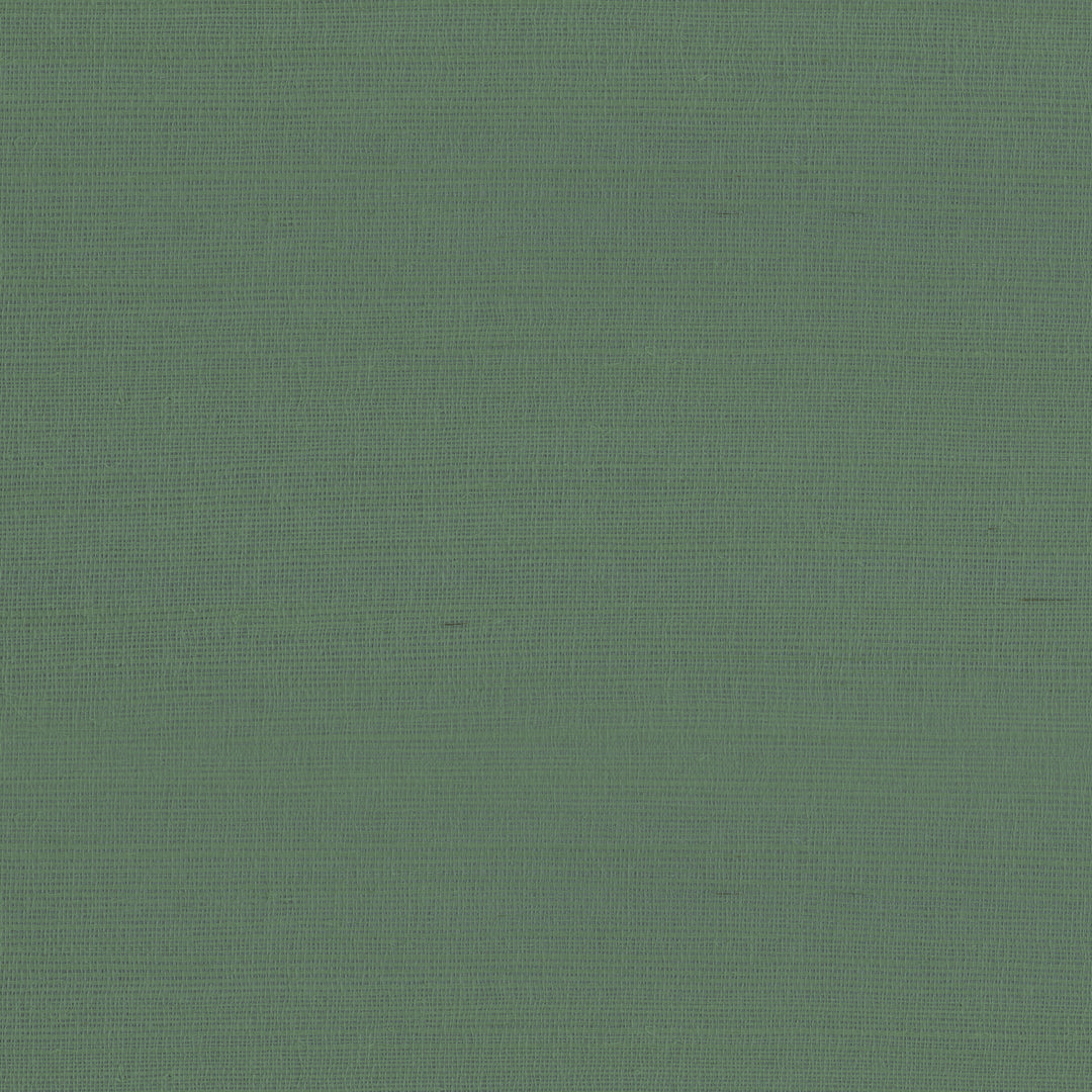 9981