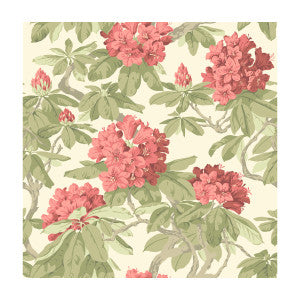 Bourlie Coral by Cole & Son Designer Wallcovering