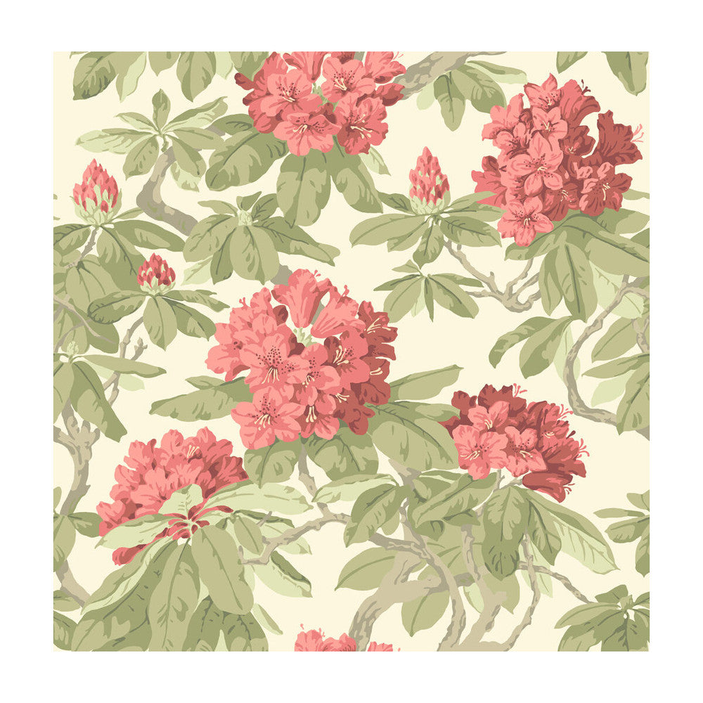 Bourlie Coral by Cole & Son Wallcovering Cole & Son Wallcovering Bourlie CoralWallcovering PAPER - 100% United Kingdom </p><p>Repeat: H: , V: 20.5 20.5 - Fabric Carolina -