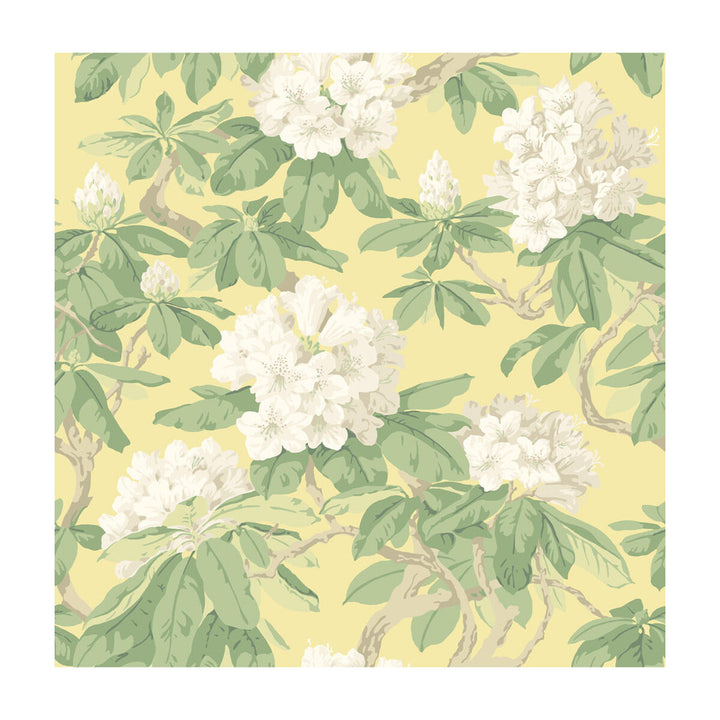 Bourlie Pale Lemon by Cole & Son Designer Wallcovering - PAPER - 100% United Kingdom - Horizontal: - and Vertical: 20.5 20.5 - Swanky Fabrics -