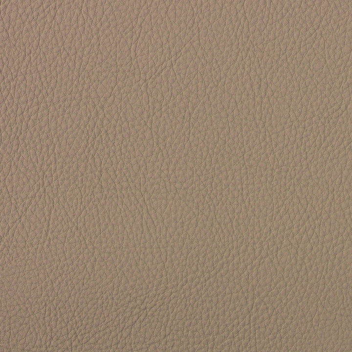 A4090 Papyrus by Greenhouse Designer Fabric Face: 100% Pvc, Back: 100% Polyester Taiwan 500,000 </p><p>Repeat: None 54" - Swanky Fabrics -