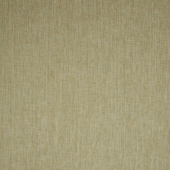 A6823 Alabaster by Greenhouse Designer Fabric 63% Polyester, 35% Viscose, 2% Polyamide China 37,000 </p><p>Repeat: None 55" - Swanky Fabrics -