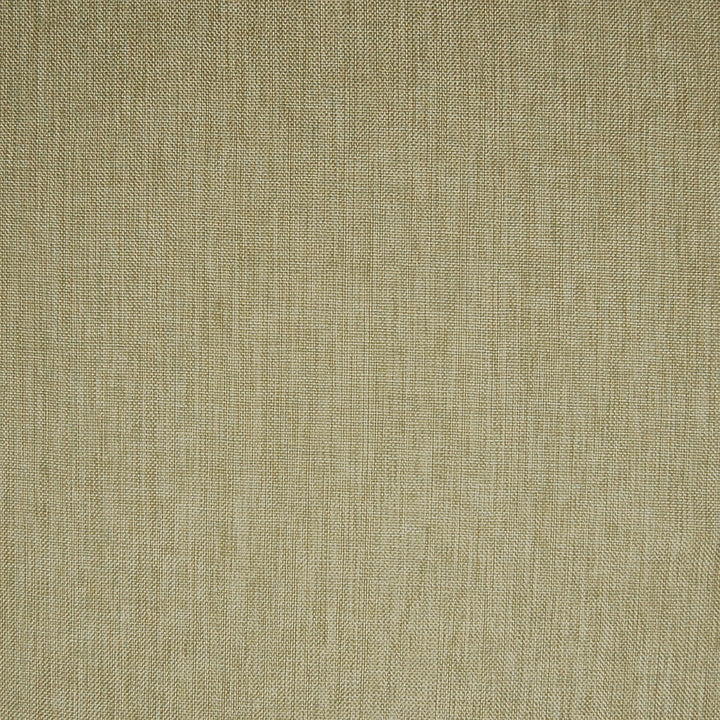 A6823 Alabaster by Greenhouse Designer Fabric 63% Polyester, 35% Viscose, 2% Polyamide China 37,000 double rubs </p><p>Repeat: None 55" - Swanky Fabrics -