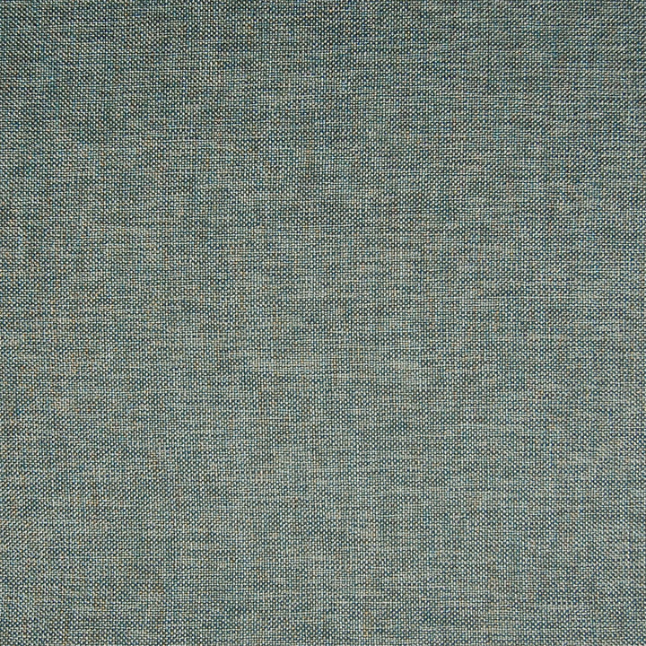 A7585 Slate by Greenhouse Designer Fabric 63% Polyester, 35% Viscose, 2% Polyamide China 37,000 </p><p>Repeat: None 55" - Swanky Fabrics -
