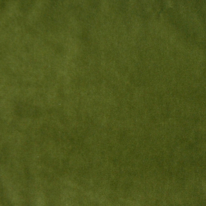 A7950 Forest by Greenhouse Designer Fabric S02: Paris Velvets 75% Polyester, 25% Cotton China 201,000 double rubs </p><p>Repeat: None 54" - Swanky Fabrics -