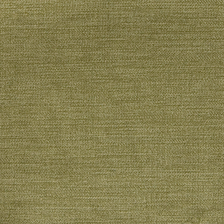 A8301 Sage by Greenhouse Designer Fabric E99: velvets by COLOR 90% Polyester, 10% Nylon China 100,000 double rubs </p><p>Repeat: None 58" - Swanky Fabrics -
