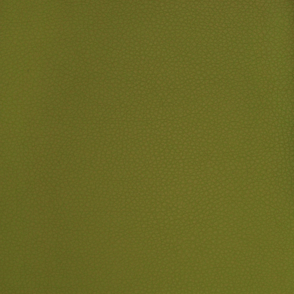 A9223 Sprig by Greenhouse Designer Fabric E65: Vinyl Contents: 100% Polyurethane, Backing: 70% Polyester, 30% Cotton China 500,000 double rubs </p><p>Repeat: ND 54" - Swanky Fabrics -