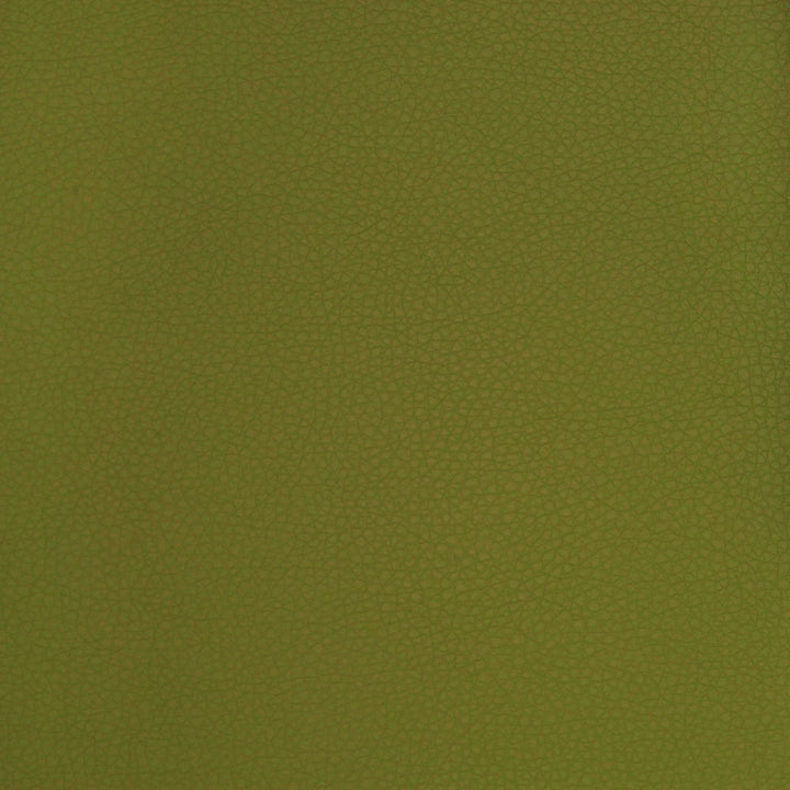 A9223 Sprig by Greenhouse Designer Fabric Contents: 100% Polyurethane, Backing: 70% Polyester, 30% Cotton China 500,000 double rubs </p><p>Repeat: ND 54" - Swanky Fabrics -