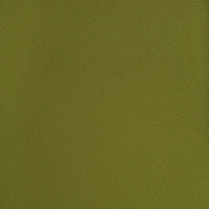 A9223 Sprig by Greenhouse Designer Fabric