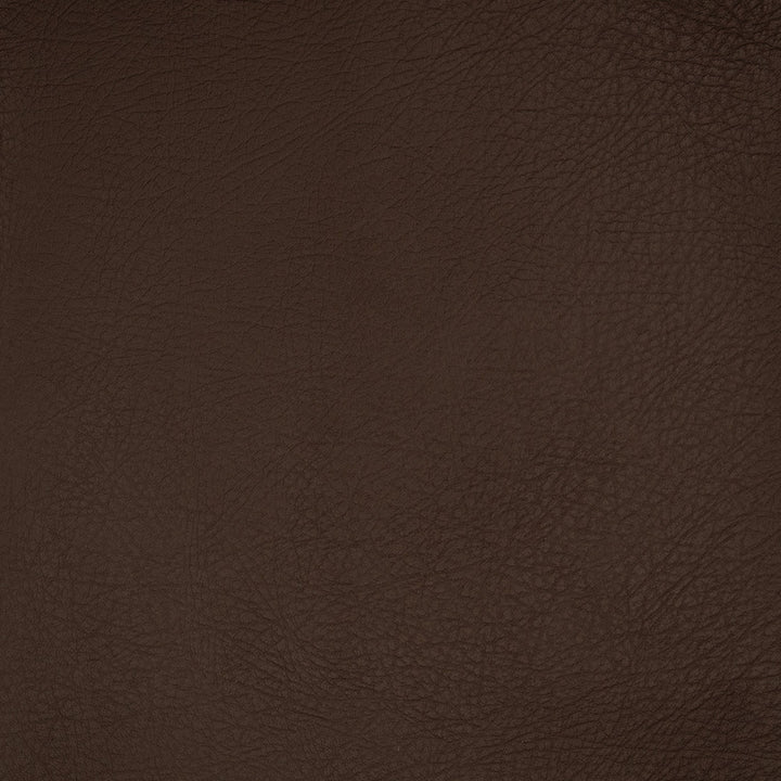 A9257 Earth by Greenhouse Designer Fabric Face: 100% Pu, Back: 100% Polyester China 100,000 </p><p>Repeat: None 54" - Swanky Fabrics -