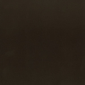 Abbreviate 2 Coffee by Stout Designer Fabric