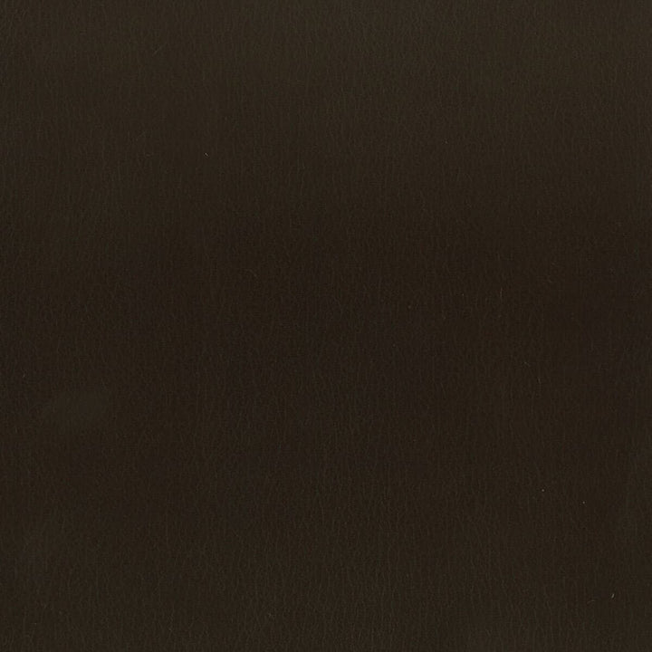 Abbreviate 2 Coffee by Stout Designer Fabric LEATHER LOOKS II 100%OTH 9%OTH CHINA FLAME RETARDANT-U.F.A.C. CLASS 1 FLAME RETARDANT-N.F.P.A. 260A CLASS 1 CATB 117-2013 WYZENBEEK 100 000 DOUBLE RUB WEAR TEST (HEAVY DUTY) Horizontal: 0 and Vertical: 0 54 in - Swanky Fabrics -