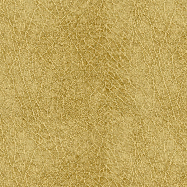 Houston 606 Honey by ABBEYSHEA Designer Fabric 100% Polyurethane (PU) China 515,000 Double Rubs (Wyzenbeek) </p><p>Repeat: Horizontal: and Vertical: 54" (137 cm) - Swanky Fabrics -