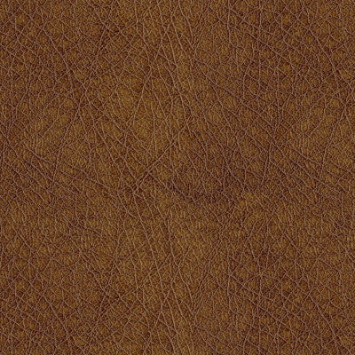 Houston 8009 Amber by ABBEYSHEA Designer Fabric 100% Polyurethane (PU) China 515,000 Double Rubs (Wyzenbeek) </p><p>Repeat: Horizontal: and Vertical: 54" (137 cm) - Swanky Fabrics -
