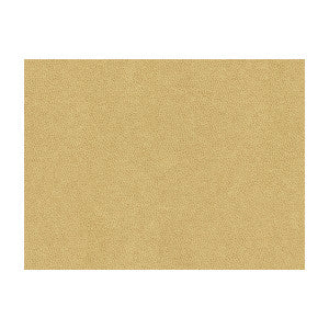 Abilene Dune by Kravet Contract Designer Fabric