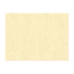 Abilene Fossil by Kravet Contract Designer Fabric