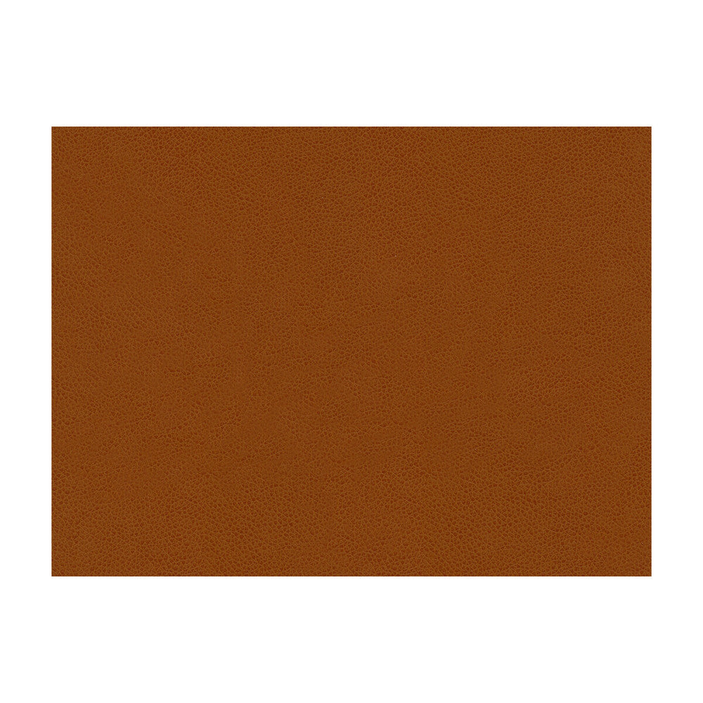 Abilene Penny by Kravet Contract Designer Fabric POLYURETHANE - 100% China HEAVY Horizontal: and Vertical: 54 - Swanky Fabrics -