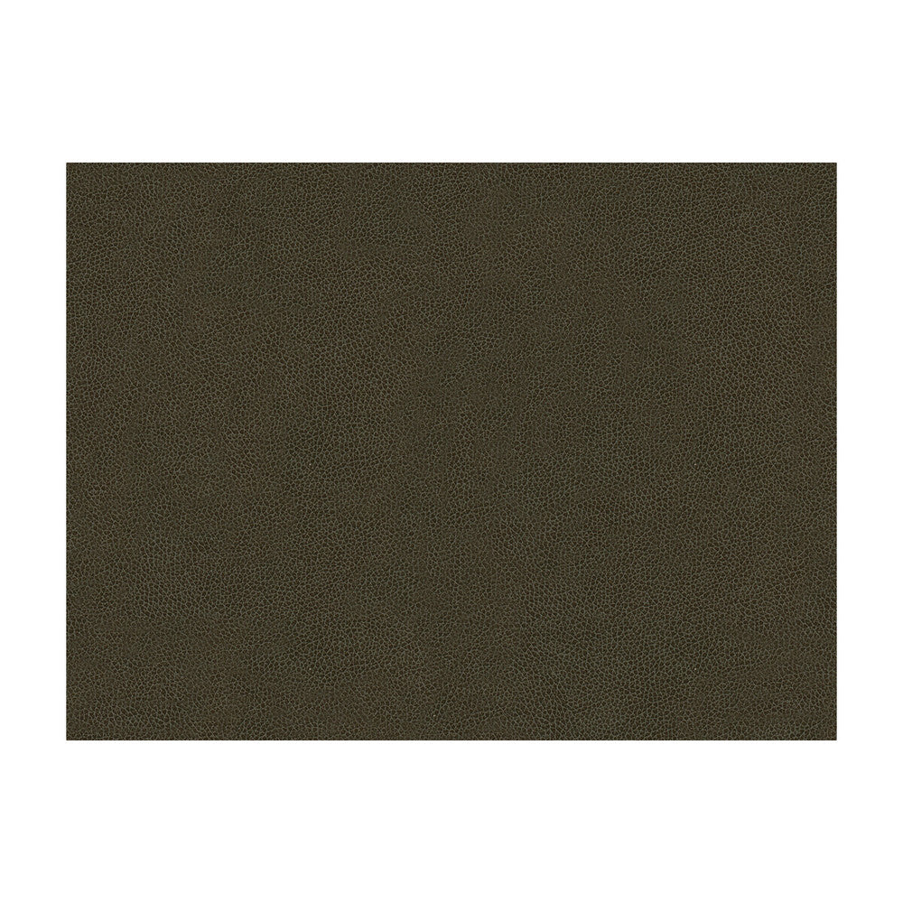 Abilene Stallion by Kravet Contract Designer Fabric - POLYURETHANE - 100% China HEAVY Horizontal: - and Vertical: - 54 - Swanky Fabrics -