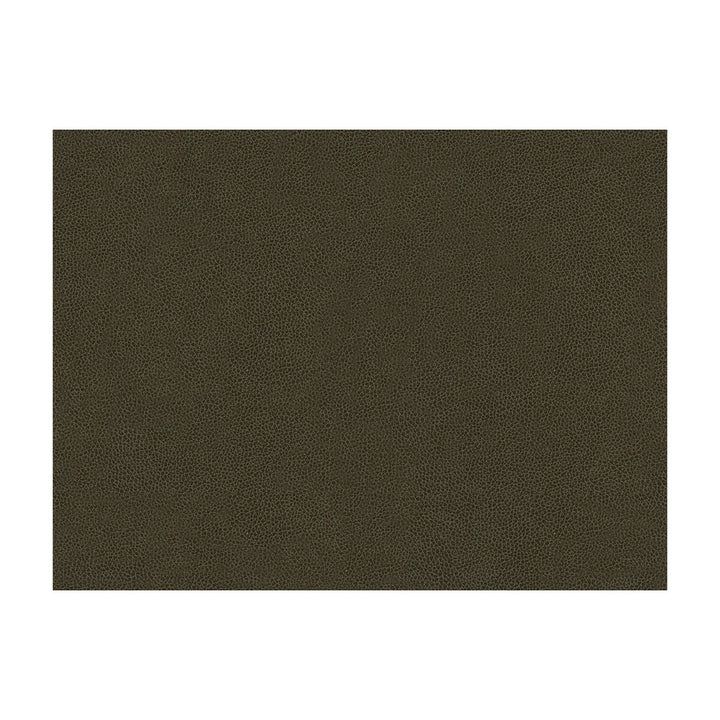 Abilene Stallion by Kravet Contract Designer Fabric - POLYURETHANE - 100% China HEAVY Horizontal: - and Vertical: - 54 - Swanky Fabrics -