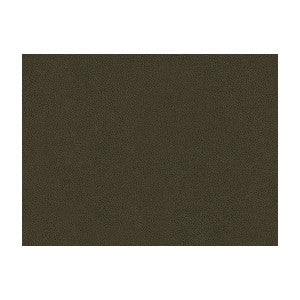 Abilene Stallion by Kravet Contract Designer Fabric