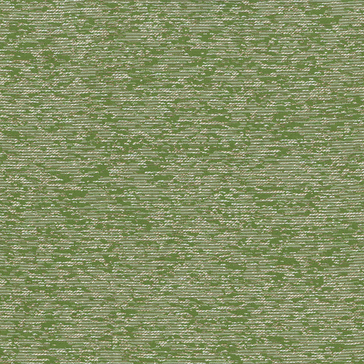 Savanna 21 Fern by SolarShade Designer Fabric 100% Solution Dyed Polyester CN 20,000 Double Rubs (Wyzenbeek) </p><p>Repeat: Horizontal: 12.21 in. (31 cm) up the roll and Vertical: 14.78 in. (37.5 cm) across the roll 54 in. (137 cm) - Swanky Fabrics -