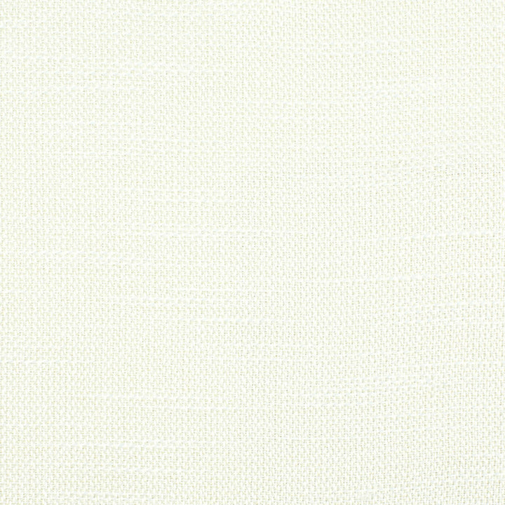 Accent 1 Pearl by Stout Designer Fabric COLOR MY WINDOW NEUTRAL/MICA 100%POL TURKEY Horizontal: 0.000 and Vertical: 0.000 55 in - Swanky Fabrics -