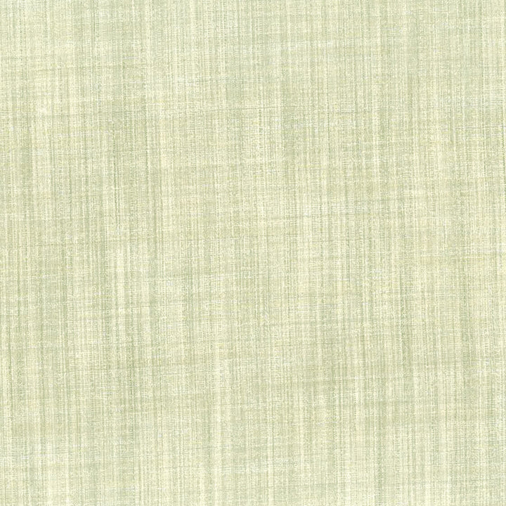 Accord 1 Driftwood by Stout Designer Fabric COLOR MY WINDOW BIRCH/LINEN 100%POL INDIA WYZENBEEK 25 000 DOUBLE RUB WEAR TEST (HEAVY DUTY) FLAME RETARDANT-N.F.P.A. 701 SMALL SCALE Horizontal: 0 and Vertical: 0 55 in - Swanky Fabrics -