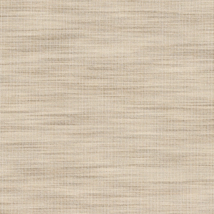 Adair 2 Raffia by Stout Fabric Stout Fabric Adair 2 RaffiaFabric COLOR MY WINDOW PEWTER/TAUPE 100%POL INDIA </p><p>Repeat: H: 0.000, V: 0.000 54.5 in - Fabric Carolina -